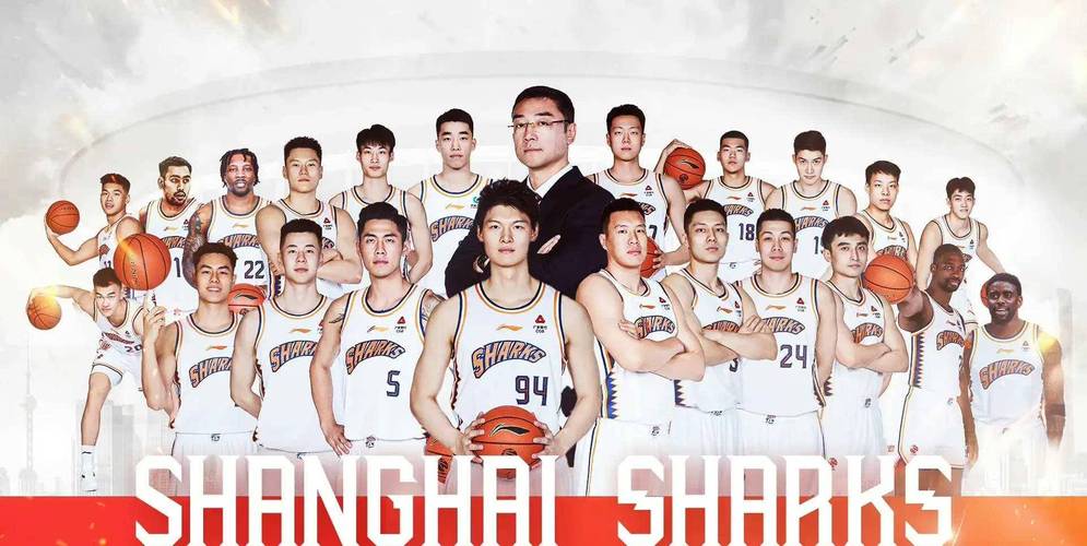 CBA球队豪华阵容曝光,B体育独家数据解读,cba土豪球队