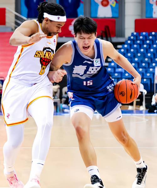 CBA赛季新秀亮相，B体育预测最具潜力球员，cba新秀盘点