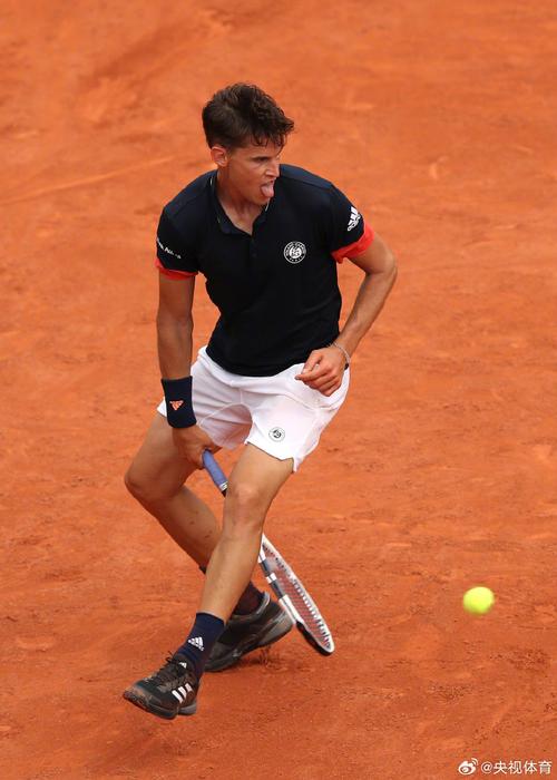 B体育：ATP巡回赛激战正酣，蒂姆表现抢眼，蒂姆澳网退赛