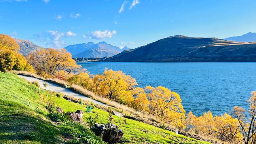 B体育app:新西兰全黑队迎战澳大利亚,精彩对抗一触即发,新西兰全黑队慈善公益