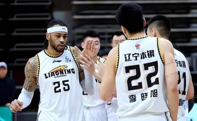 B体育官网:辽宁队核心球员伤病情况更新,辽宁队受伤的是谁
