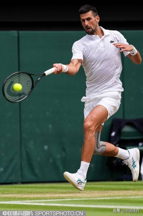 B体育:德约科维奇在草地赛季中的适应能力,德约科维奇打法特点