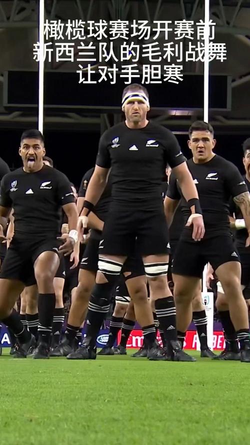 B体育：新西兰全黑队的传奇故事，新西兰橄榄球队全黑队