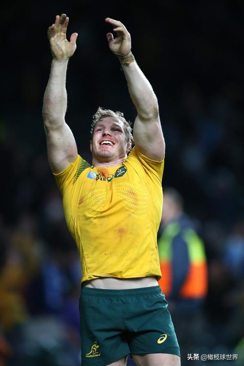 B体育：新西兰橄榄球队在世界杯中的不败纪录，新西兰最伟大的橄榄球运动员