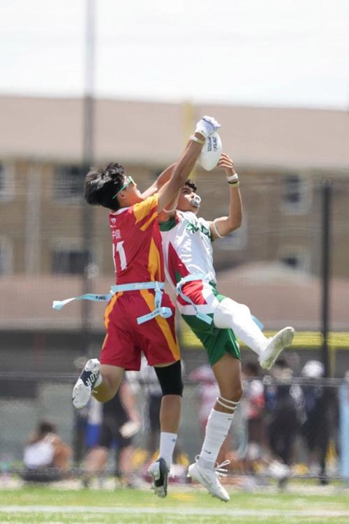 B体育：橄榄球世界杯半决赛，南非队对阵爱尔兰，南非的橄榄球水平怎么样