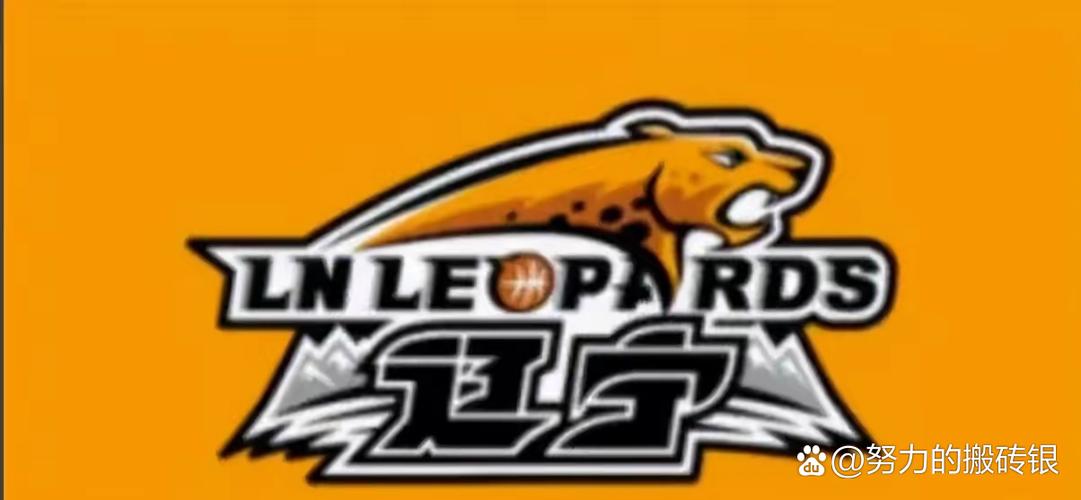 B体育官网深度分析:CBA主场优势如何体现?,cba主场怎么安排的