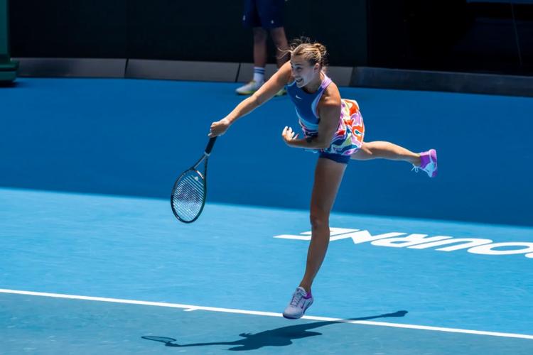 B体育官网：澳网女单决赛即将开打，小威能否再夺一冠？，澳网女单决赛比分