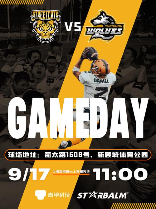 B体育：橄榄球世界杯八强席位争夺战一触即发，橄榄球世界杯美国队