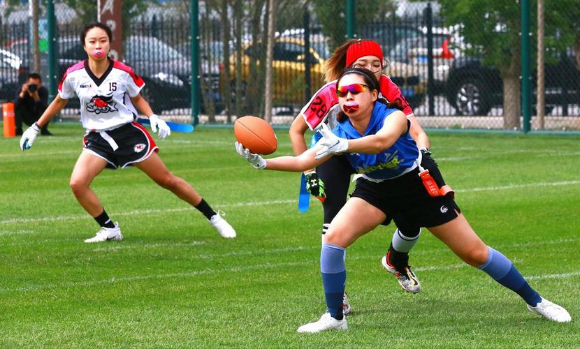 B体育app：橄榄球世界杯上的精彩瞬间回顾，世界橄榄球比赛视频