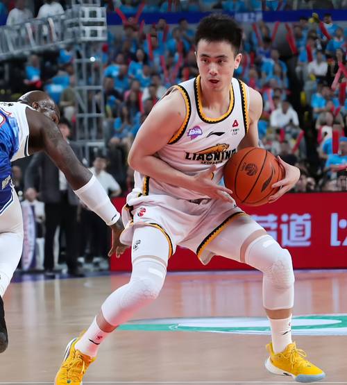 B体育:山东队本赛季的核心球员表现分析,山东队主场