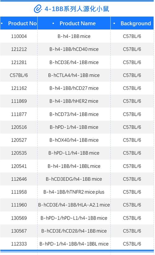 如何通过B体育官网查看BBL赛季数据统计与回顾？，bbl联赛