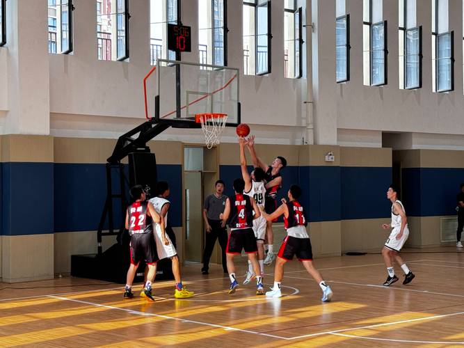 B体育赛事攻略:如何通过B体育app深入研究篮球世界杯比赛数据,提升您的博彩获胜率?