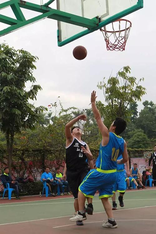 BBL球员场外生活揭秘,B体育官网独家报道,b0b体育