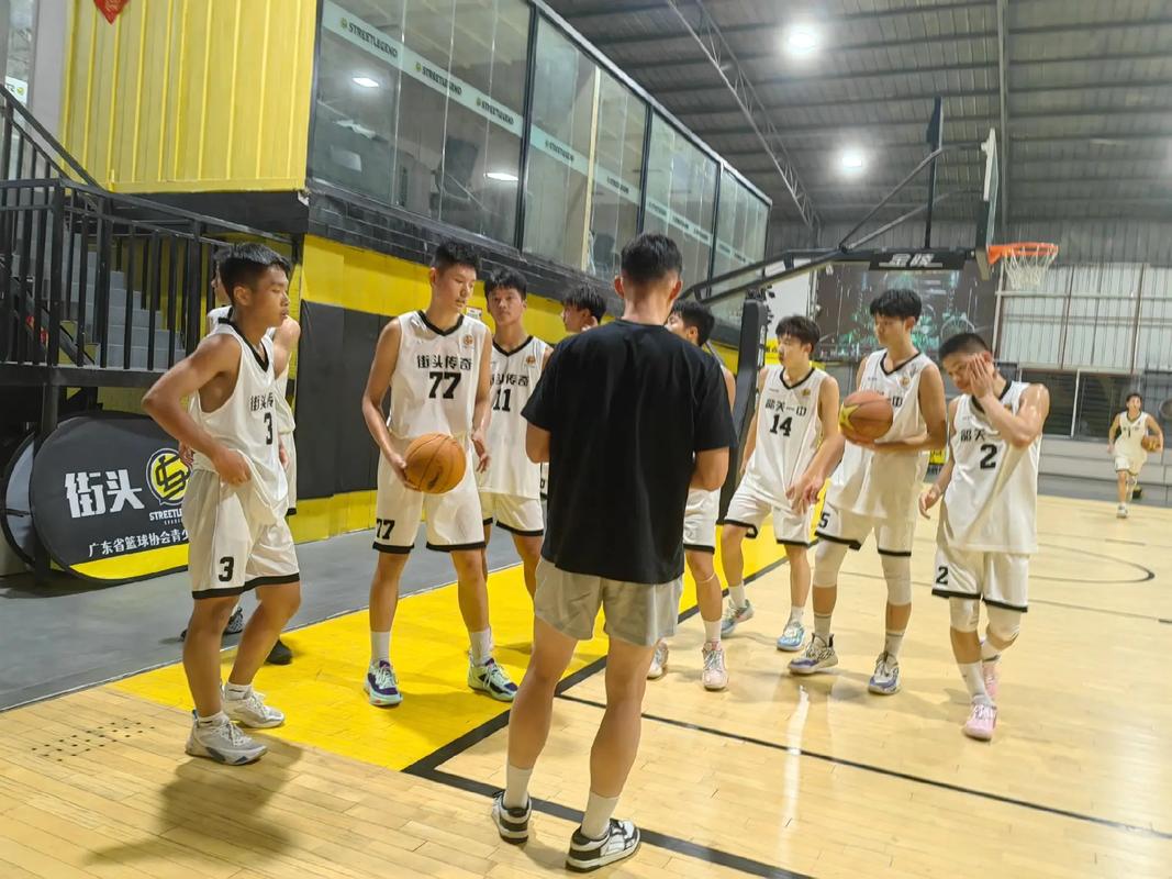 B体育揭秘:BBL中哪些球员拥有突破性的表现