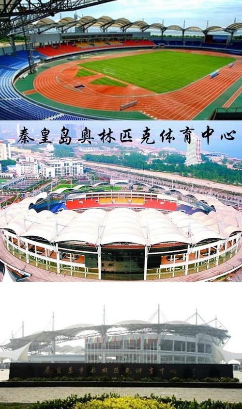 BBL联赛场上场下的故事,尽在B体育官网全面呈现,bbin体育是哪个国家的