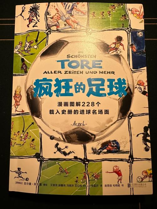疯狂的足球高清，电影《疯狂的足球》